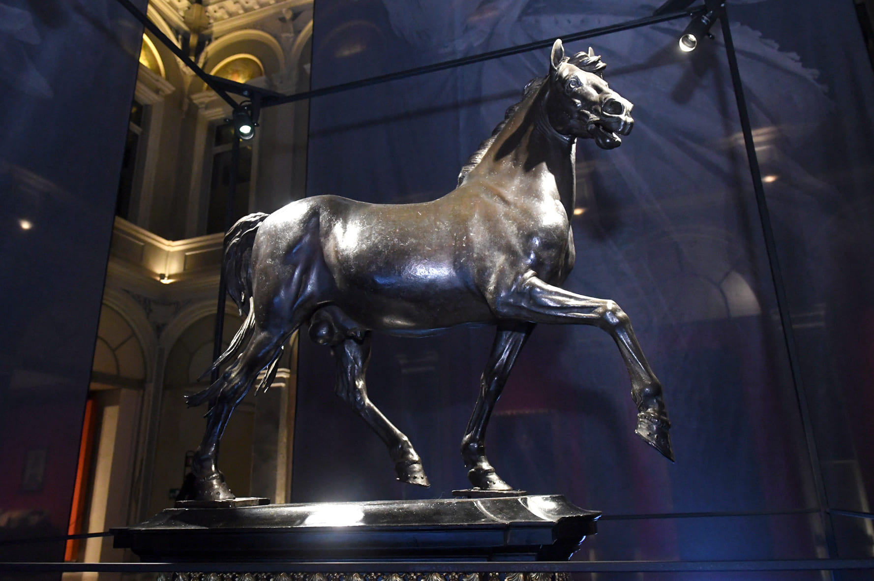 Lo splendido Cavallo Pallavicini