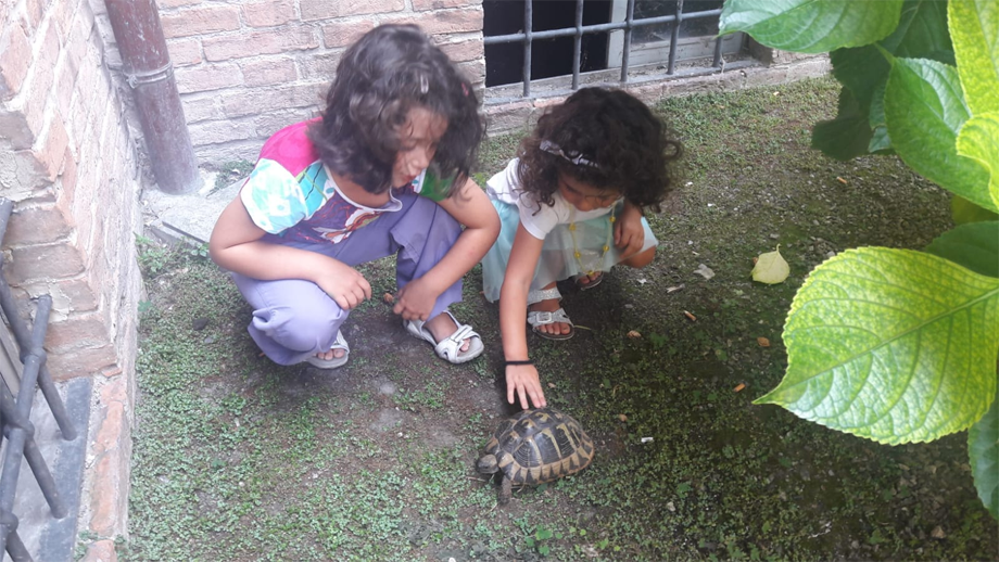 servizio di accoglienza per bambini (nurserie)