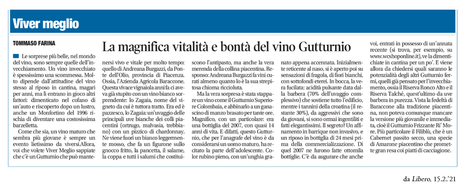 LA MAGNIFICA VITALITÀ E BONTÀ DEL VINO GUTTURNIO