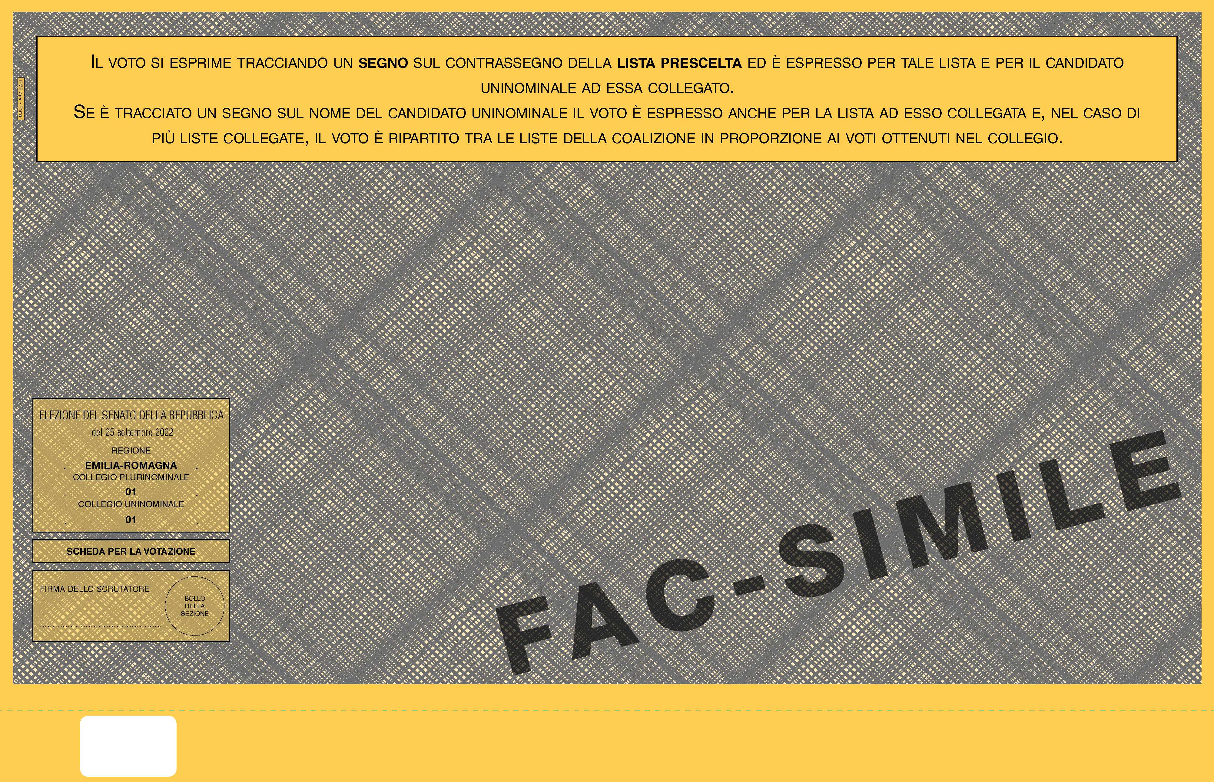 LA SCHEDA ELETTORALE DEL SENATO
